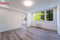 REMAX Brno