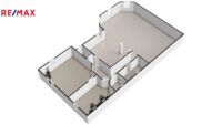 REMAX Delux