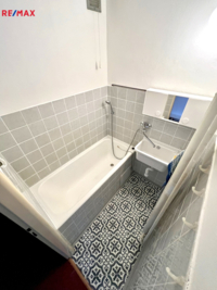REMAX Delux