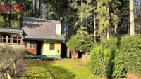 REMAX Delux