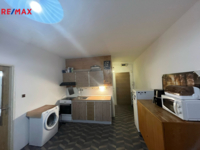 REMAX Delux