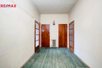 REMAX Delux
