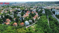 REMAX Delux