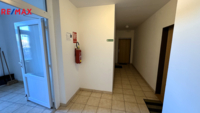 REMAX Brno