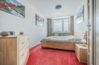 REMAX Delux
