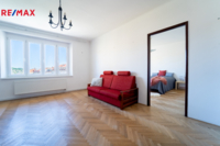 REMAX Delux