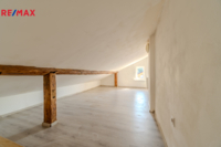 REMAX Delux