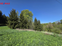 REMAX Delux