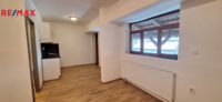 REMAX Delux