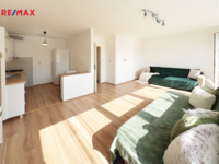 REMAX Delux