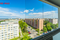 REMAX Delux