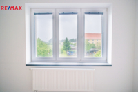 REMAX Delux