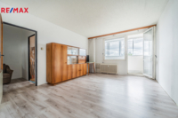 REMAX Delux