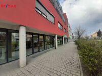 REMAX Delux