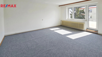 REMAX Delux