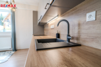 REMAX Delux