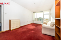 REMAX Delux