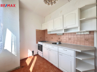 REMAX Delux
