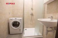 REMAX Delux