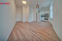 REMAX Delux