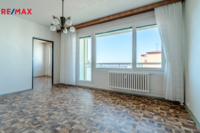 REMAX Delux