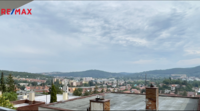 REMAX Delux