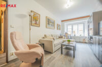 REMAX Delux