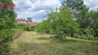 2919126.jpg