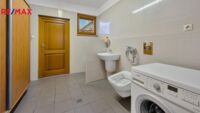 REMAX Delux