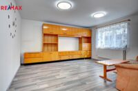 REMAX Delux