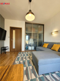 REMAX Delux