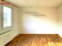 REMAX Delux