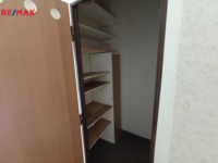 2861810.jpg