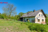 REMAX Delux