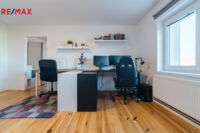 REMAX Delux