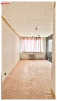 REMAX Delux