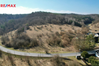 REMAX Brno