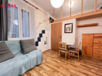 REMAX Delux