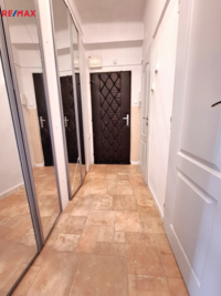 REMAX Delux