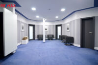 REMAX Delux
