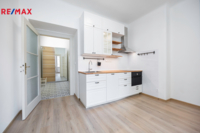 Pronájem bytu 1+1, 46 m2, Praha