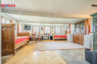 REMAX Delux