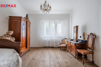 REMAX Delux