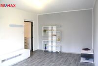 REMAX Delux