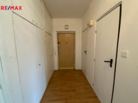 REMAX Delux