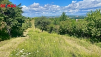 REMAX Brno