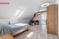 REMAX Delux