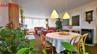REMAX Delux