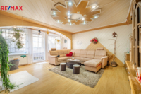 REMAX Delux