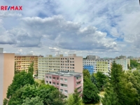 2900320.jpg